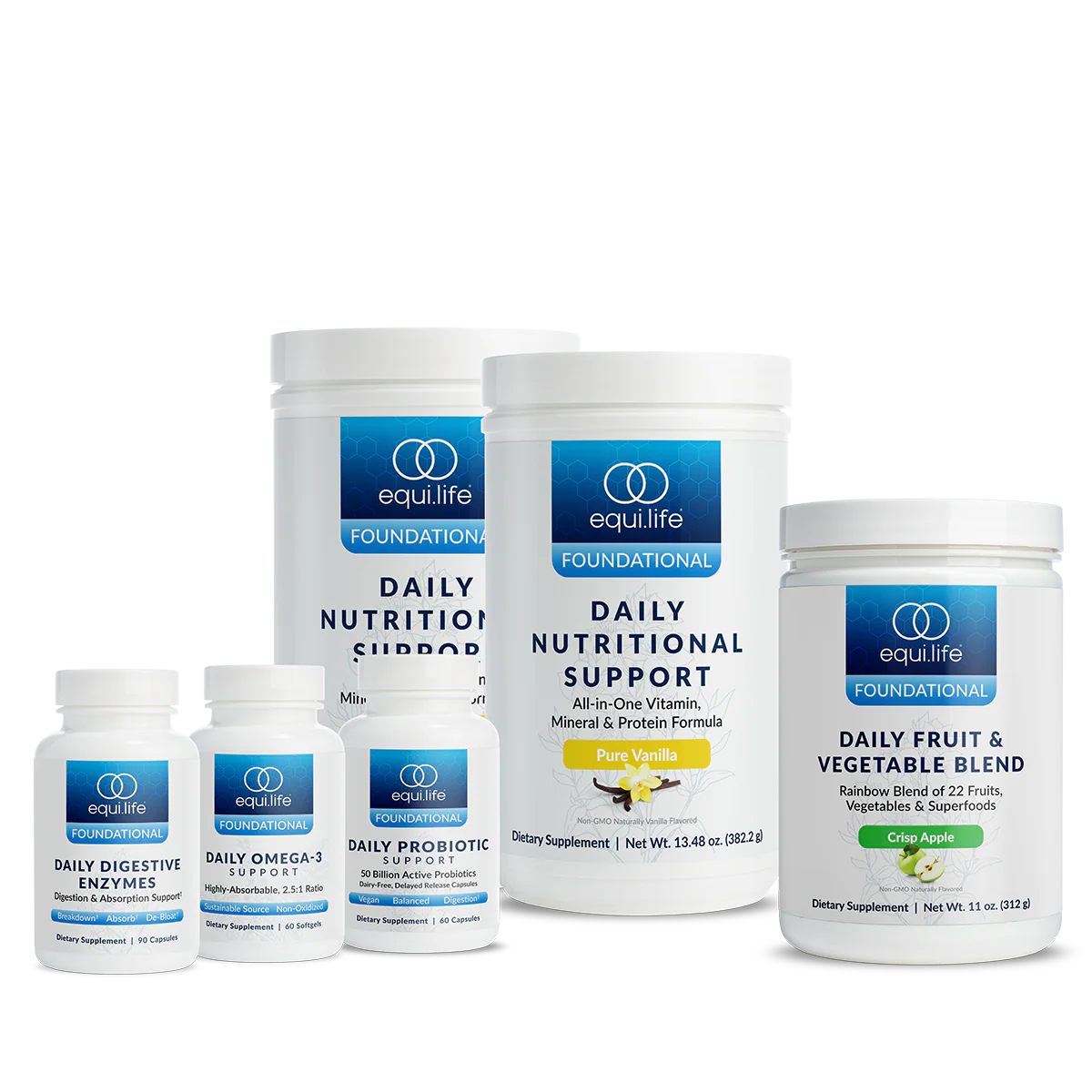 Daily Foundational Protocol · Level 3